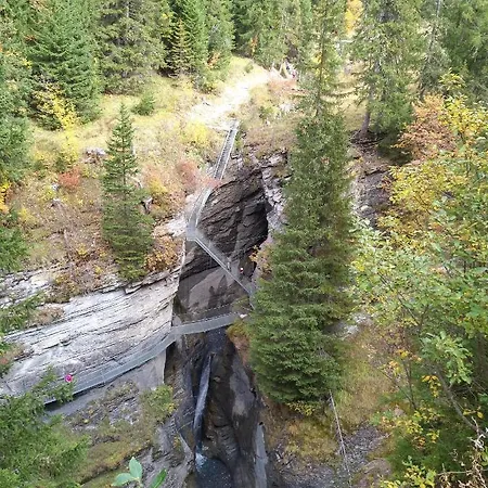 Waldrand Inden