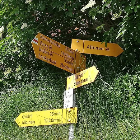 Waldrand Inden
